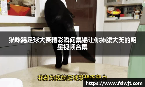 星空·综合体育中国官方网站