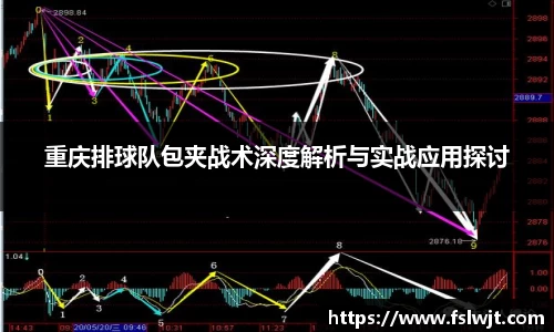 星空·综合体育官方网站