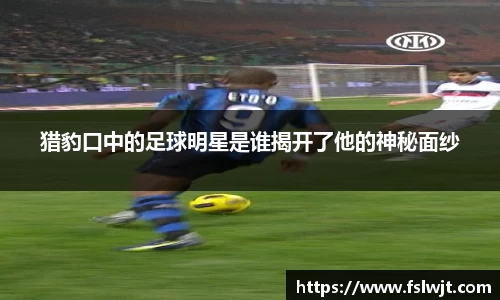 星空·综合体育中国官网